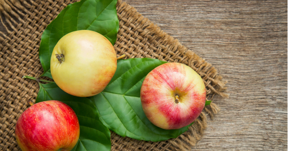 Top 10 Antioxidant Rich Foods - apple