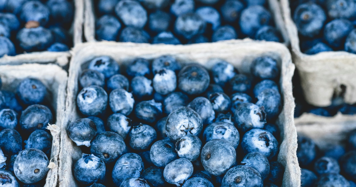 Top 10 Antioxidant Rich Foods