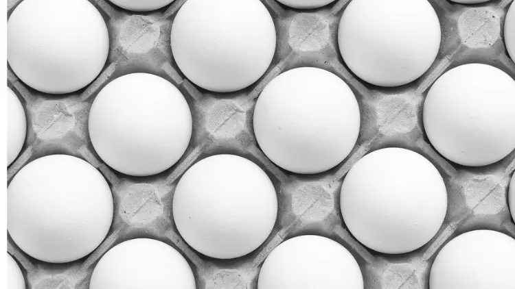 superfoods for gym lovers – eggs