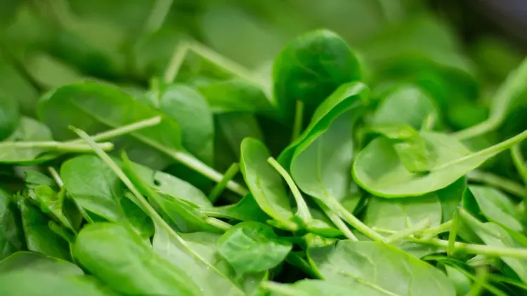 superfoods for gym lovers –Spinach